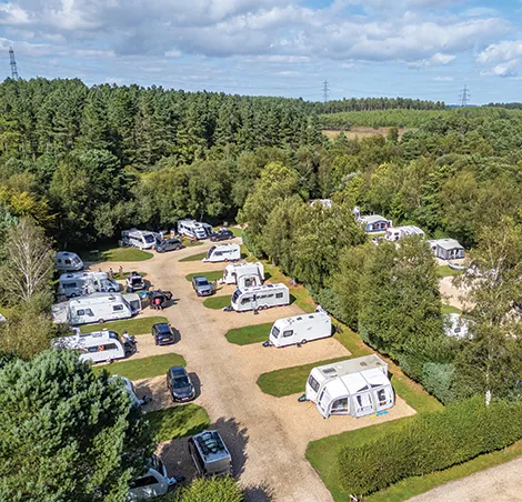 Wareham Forest