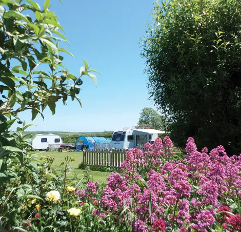 Parkland Campsite