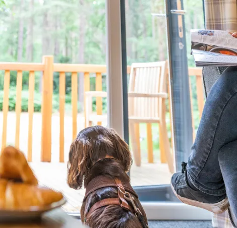 Kelling Heath - dog-friendly lodges
