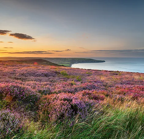 North York Moors