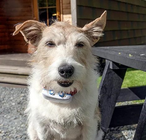 Skye 