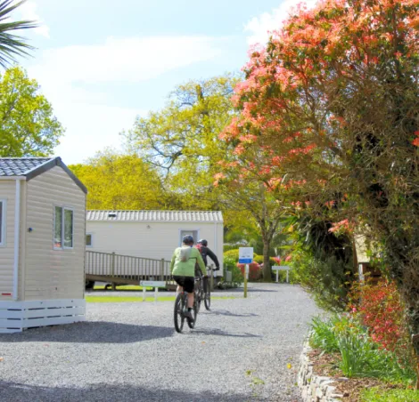Heligan Caravan & Camping