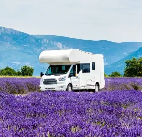 Motorhomes for sale