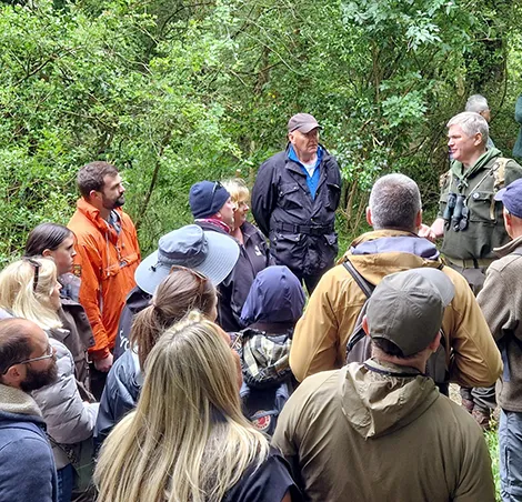 Ray Mears