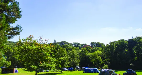 River Dart Country Park Campsite