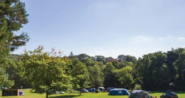 River Dart Country Park