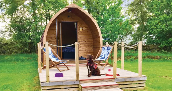 Dog friendly campsite