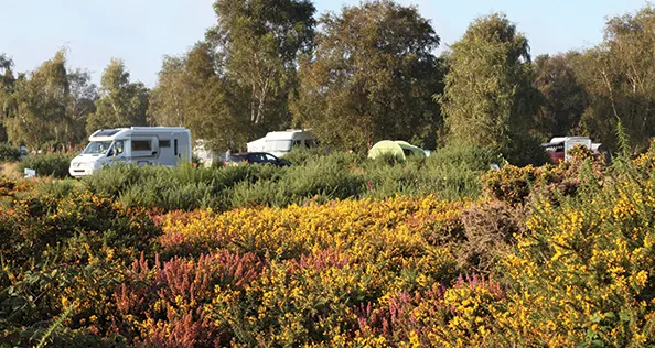 Kelling Heath