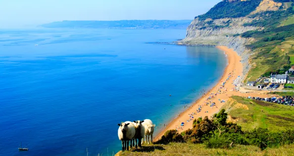 An August bank holiday walk from seatown in Dorset over Golden Cap Hill