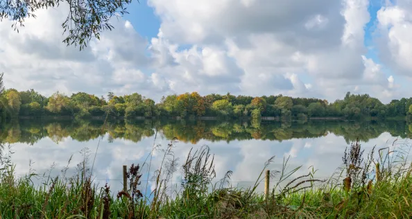 Lake at Neigh Bridge Country Park, The Cotswolds, Gloucestershire, England, United Kingdom