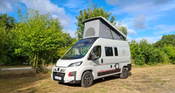 Dreamer D43 Up 20 Years