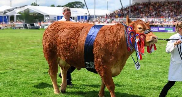Royal Highland Show 