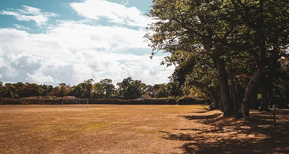 Bashley Showground