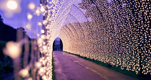 Christmas light tunnel