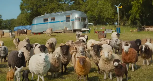 The Sheep Detectives starring Hugh Jackman