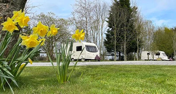 Long Acres Touring Park